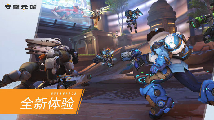 体能师共享 体能师共享